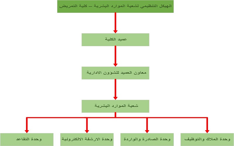 شعبة الموارد البشرية